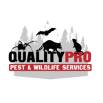 Westchester Wildlife Removal